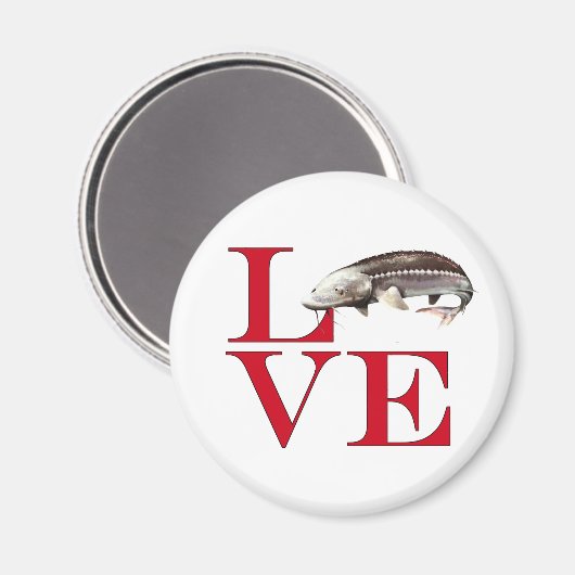 Aimant I Love Sturgeon (Recto/Verso)