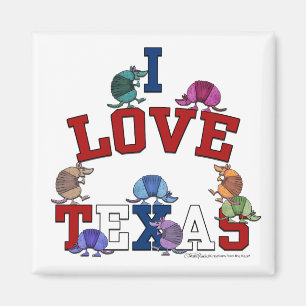 Aimant I Love Texas-Colorful Armadillos