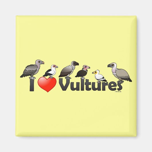Aimant I Love Vultures (Afrique) (Devant)