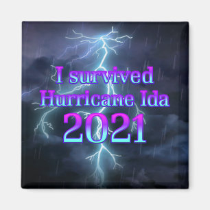 Aimant I survived Hurricane Ida