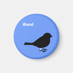 Aimant iBand