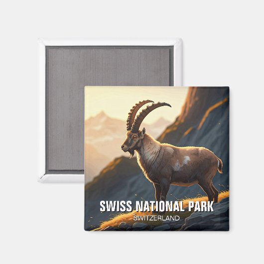 Aimant Ibex dans le Parc national suisse Suisse (Recto/Verso)