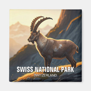 Aimant Ibex dans le Parc national suisse Suisse