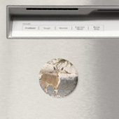 Aimant Ibex - Yael (In Situ (Lave-vaisselle))