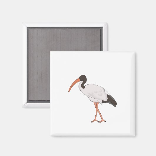 Aimant Ibis Bin Chicken Bird (Recto/Verso)