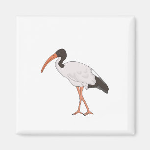Aimant Ibis Bin Chicken Bird