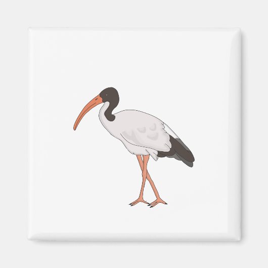 Aimant Ibis Bin Chicken Bird (Devant)
