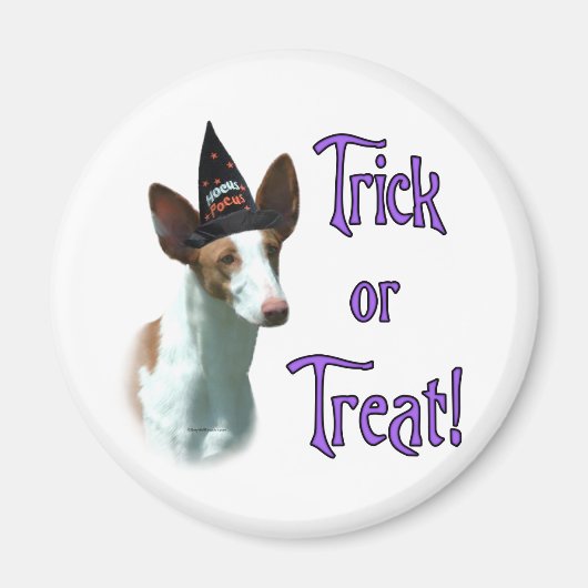 Aimant Ibizan Hound Trick (Devant)