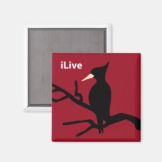 Aimant IBWO : iLive (Recto/Verso)