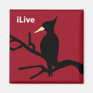 Aimant IBWO : iLive