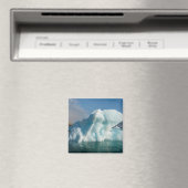 Aimant Iceberd Dans La Baie De Palander, Norvège (In Situ (Lave-vaisselle))