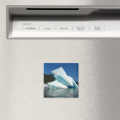 Aimant Iceberg sur le lac Mendenhall en Alaska (In Situ (Lave-vaisselle))