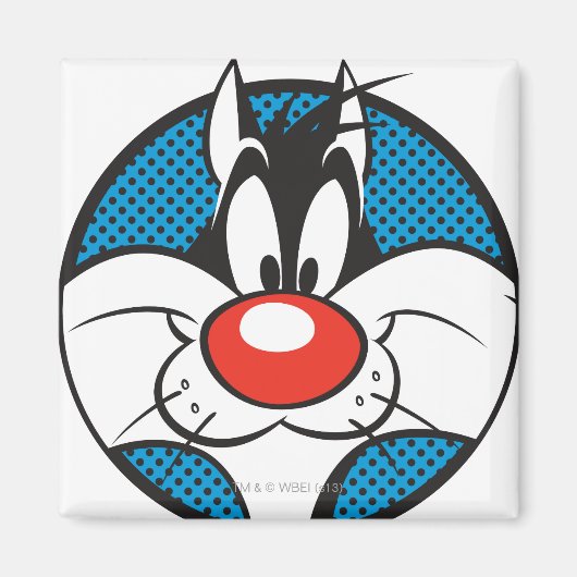 Aimant Icône Dotty SYLVESTER™ (Devant)