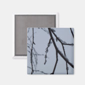 Aimant Icy Branches Winter Nature Photographie (Recto/Verso)