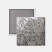 Aimant Icy Twigs (Recto/Verso)