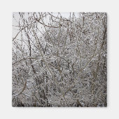 Aimant Icy Twigs (Devant)