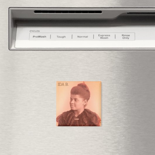 Aimant Ida B. Wells (In Situ (Lave-vaisselle))
