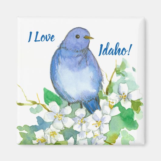 Aimant Idaho Souvenir Mountain Bluebird Syringa (Devant)