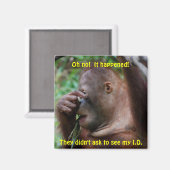 Aimant Identification (Recto/Verso)