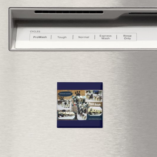 Aimant Iditarod 2010 (In Situ (Lave-vaisselle))