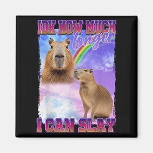 Aimant Idk Combien De Temps Je Peux Lancer Capybara
