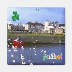 Aimant IE - Irlande - Galway - Gaillimh