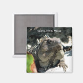 Aimant Iguana, Tulum, Mexique (Recto/Verso)