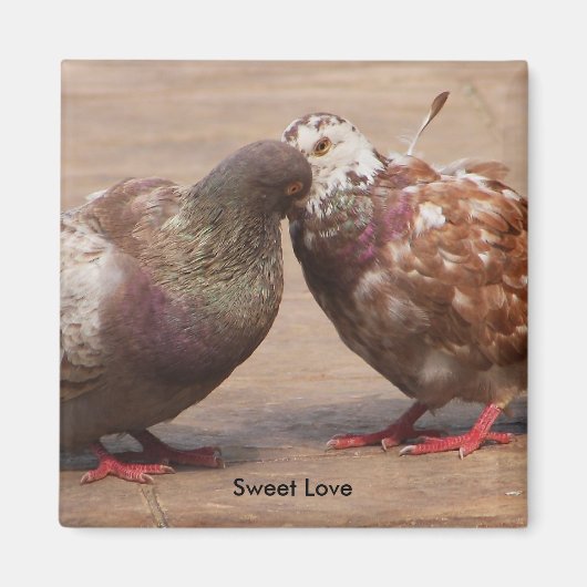 Aimant Il doit être amour (Devant)