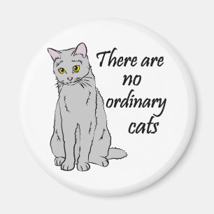 Aimant Il N'Y A Pas De Chats Ordinaires