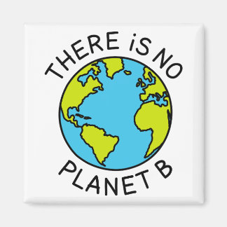 Aimant Il N'Y A Pas De Planète B Concept De l'environneme