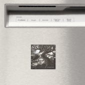 Aimant Il Se Cache Derrière Les Étoiles (In Situ (Lave-vaisselle))