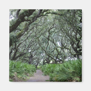 Aimant Île de Cumberland