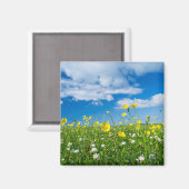 Aimant île de South Uist | Écosse (Recto/Verso)