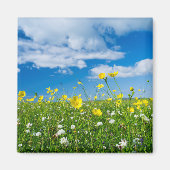 Aimant île de South Uist | Écosse (Devant)