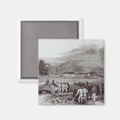 Aimant Île Norfolk (Recto/Verso)