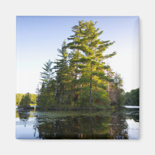 Aimant Île sur le lac Long Pond