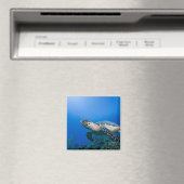 Aimant Iles Cayman, Île Little Cayman, Sous-marin 2 (In Situ (Lave-vaisselle))