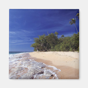Aimant Îles Fidji, Tavarua. Cette plage sur Tavarua,