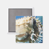 Aimant Îles Maldives (Recto/Verso)