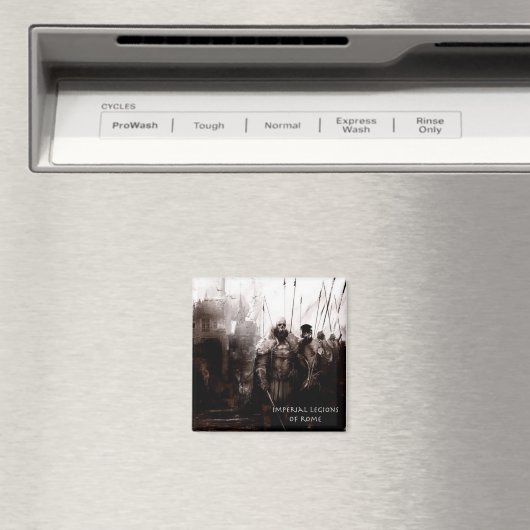 Aimant ilitaire (In Situ (Lave-vaisselle))