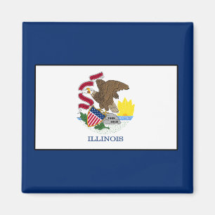 Aimant Illinois