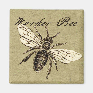 Aimant Illustration Antique d'Abeille Ouvrière Insecte Vi