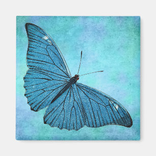 Aimant Illustration bleue turquoise vintage de 1800s de