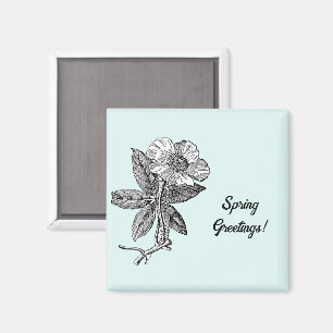 Aimant Illustration botanique d'une fleur printanière élé