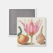 Aimant Illustration botanique vintage (Recto/Verso)