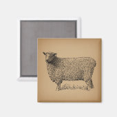 Aimant Illustration classique de l'art du mouton animal d (Recto/Verso)