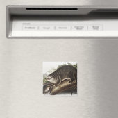 Aimant Illustration de Canada Otter (Lutra Canadensis) (In Situ (Lave-vaisselle))