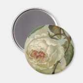 Aimant Illustration de carte postale Rose victorienne (Recto/Verso)