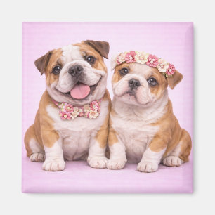 Aimant Illustration de couple de bouledogues anglais pour