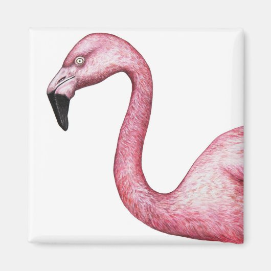 Aimant Illustration de Flamant rose rose vif (Devant)
